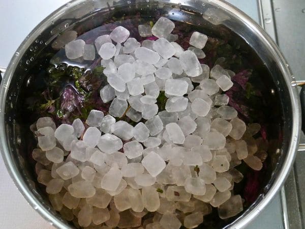 赤紫蘇ジュースを作るために赤紫蘇の葉と氷砂糖と水を鍋に入れた画像。