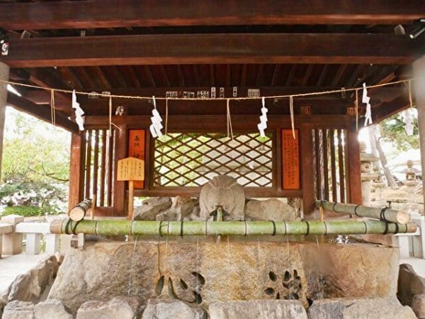 大阪・住吉大社の手水舎にいるうさぎの全体像がわかる画像。