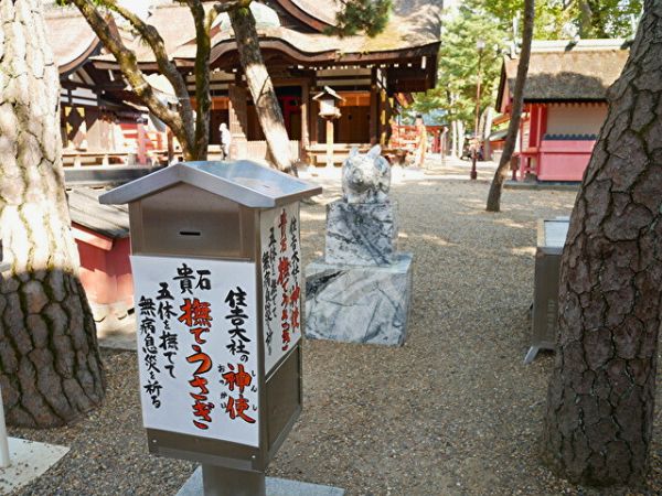 大阪・住吉大社の撫でうさぎとその張り紙の画像。