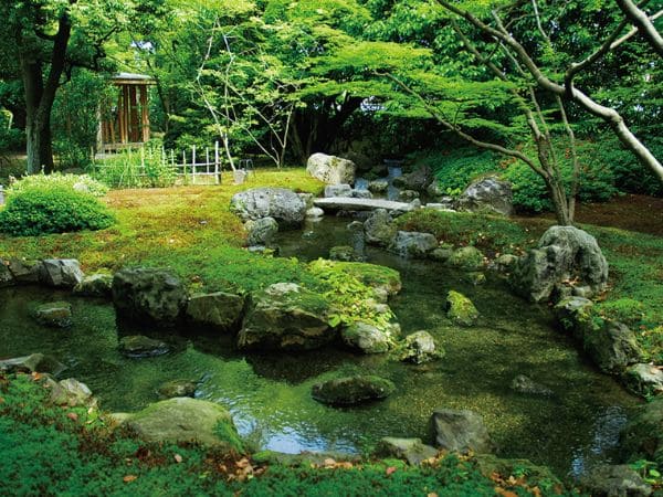 京都・城南宮の神苑の手入れが行き届いた木々と美しい水が流れる小川の画像。